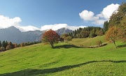 12 I prati di Pigolota...
